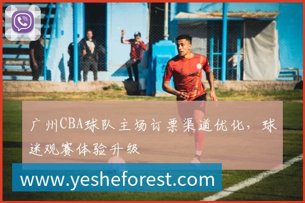 广州CBA球队主场订票渠道优化，球迷观赛体验升级
